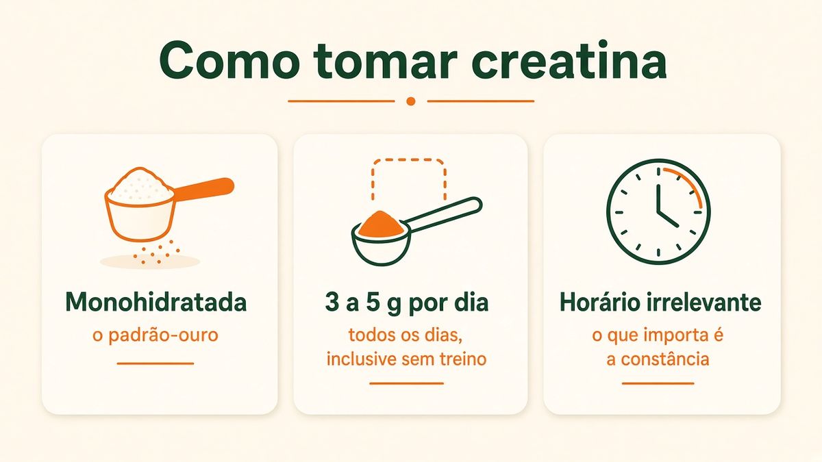 Como tomar creatina: monohidratada, 3 a 5 g por dia, todos os dias