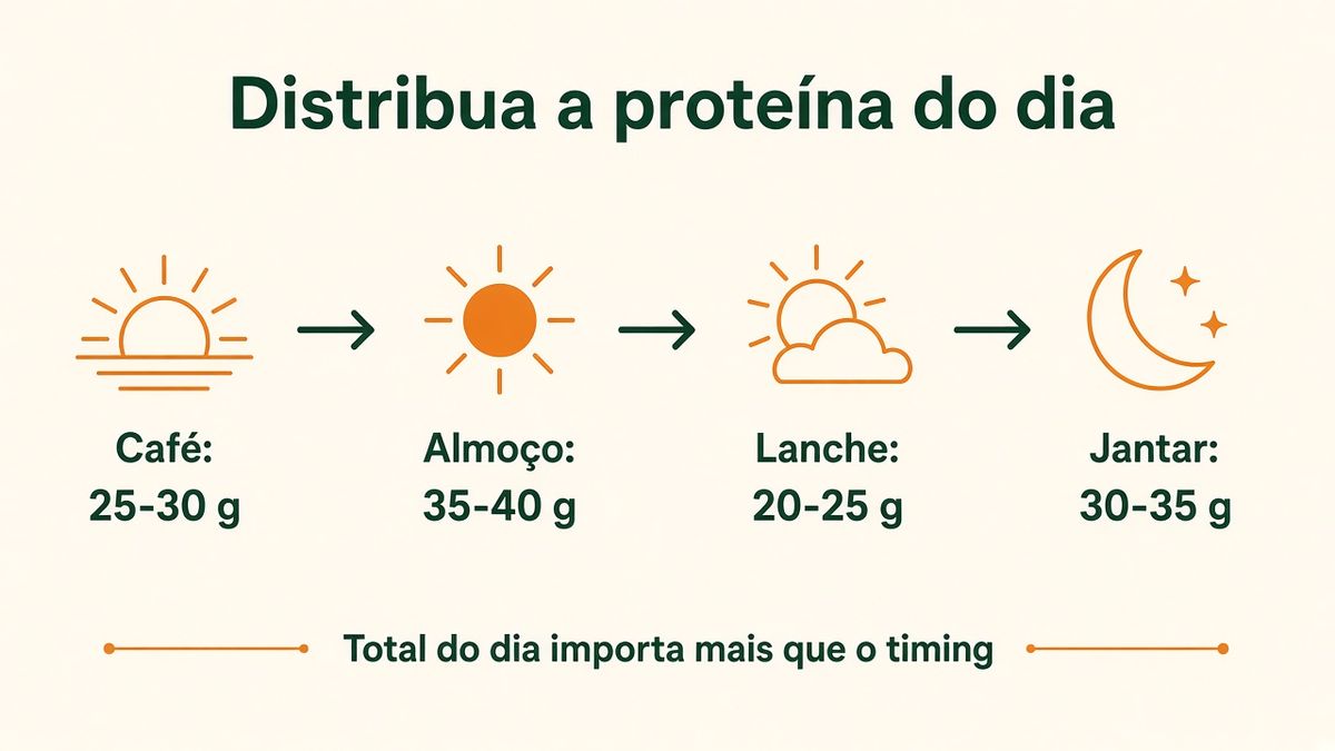 Distribuição de proteína nas refeições: 25 a 40 g por refeição, do café da manhã ao jantar