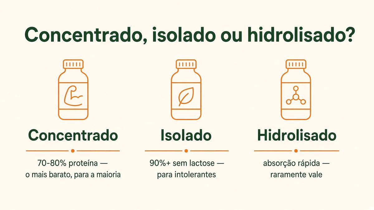 Tipos de whey protein: concentrado, isolado e hidrolisado comparados